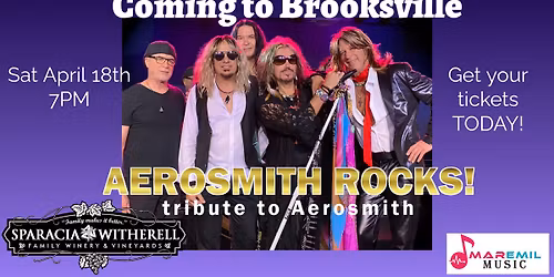 Aerosmith Tribute in Brooksville @Sparacia