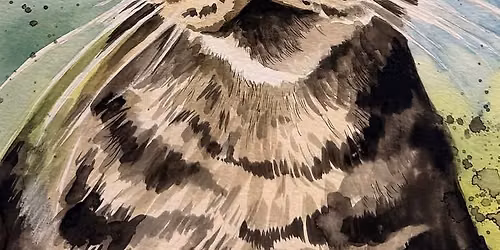 Watercolour Pen and Ink Pets