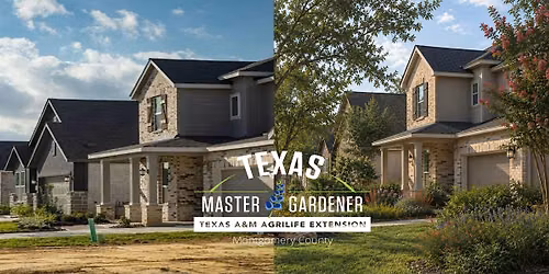 New Homeowner Landscape Basics
