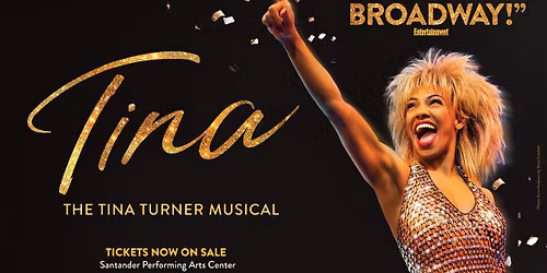 TINA: The Tina Turner Musical
