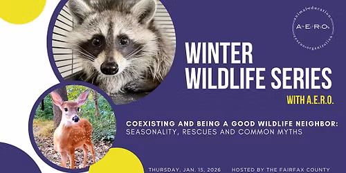 January Winter Wildlife Class With A.E.R.O.: Coexisting and Being a Good Wildlife Neighbor - Seas