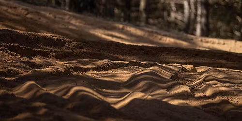 Rapid Angels- D16 Harescramble 