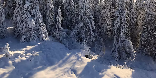 Klubbkveld - kick off sesongen 25/26