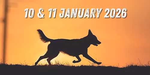 Lure Coursing Fun Day