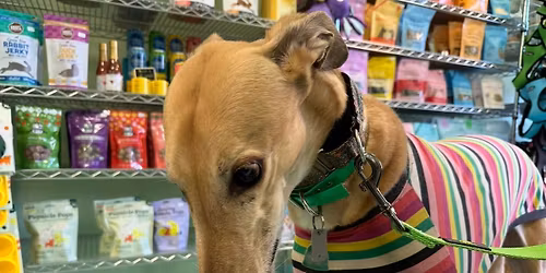 Annual Needle Nose Ice Cream Social \ud83d\udc3e\ud83c\udf68\u2764\ufe0f