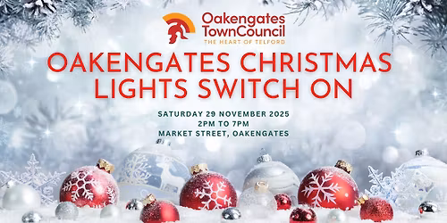 Oakengates Christmas Lights Switch On