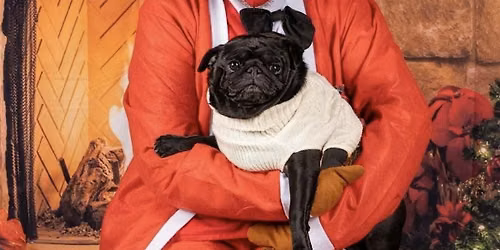 Meet & Greet with Santa Paws!