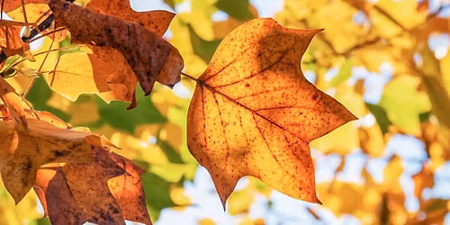 PK Lakes Association Fall Membership Meeting