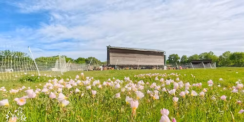 VOLUNTEERS NEEDED: WEEKDAY WORK AT THE EXTENSION FARM | BONTON FARMS | DALLAS, TEXAS
