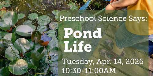 Preschool Science Says: Pond Life