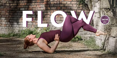 FLOW j\u00f3ga oktat\u00f3k\u00e9pz\u00e9s - ny\u00e1ri intenz\u00edv