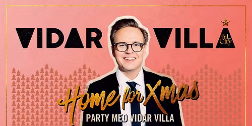 Vidar Villa - home for x-mas party