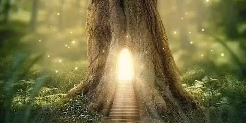 Initiation au Shinrin Yoku (bain de for\u00eat dans la tradition japonaise)