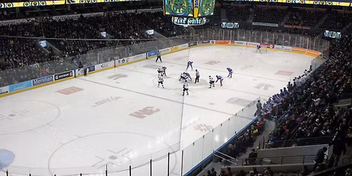 London Knights at Sarnia Sting