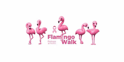 Flamingo Walk
