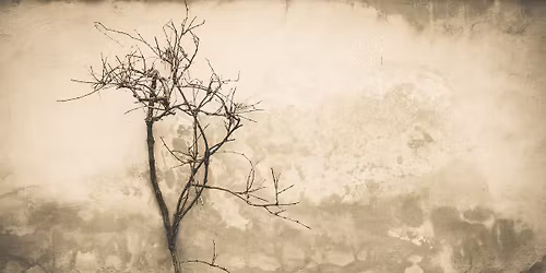 bl\u00edzkos\u0165 smrti :: pondelkov\u00e9 ve\u010dery