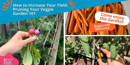 How to Increase Your Yield: Pruning Your Veggie Garden 101