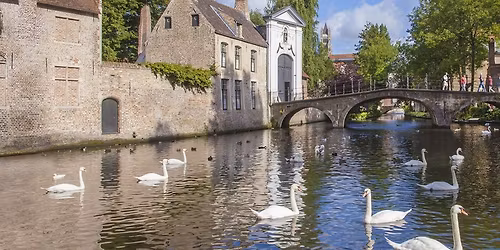 European Practitioners Symposium on Equine Reproduction - ESER-2026