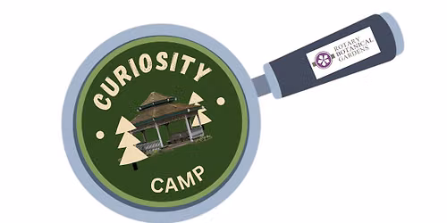 Curiosity Camp - BUBBLE MANIA!