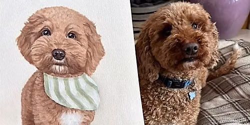 Paint Your Pet Workshop - Paint, Sip & Connect