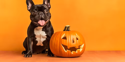 Halloween Match Night