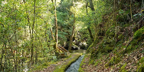 Trilho Levada de Piscaredo (Mondim de Basto)