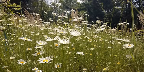 HV Hikers: "By the Creek" (moderate\/easy)