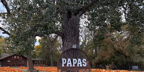 \ud83c\udf83 Welcome to Opening Day: New Beginnings at Papa\u2019s Pumpkin Patch! \ud83c\udf42