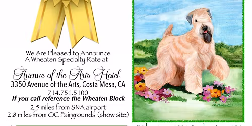 Soft Coated Wheaten Terrier Club of Southern California Specialty & SCWTCA Roving National Specialty