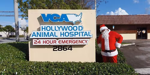 Free Pet Photo with Santa