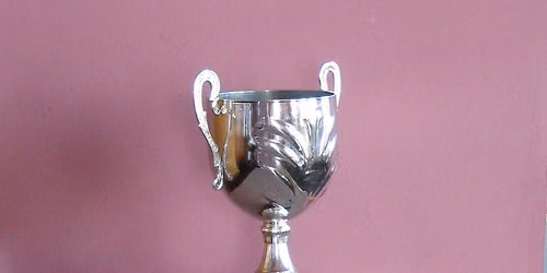 The John Birmingham Cup
