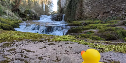 TALGARTH through the lens