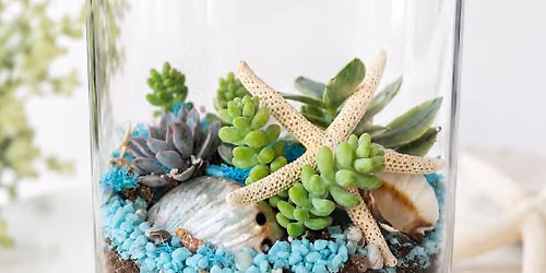 Coastal Terrarium