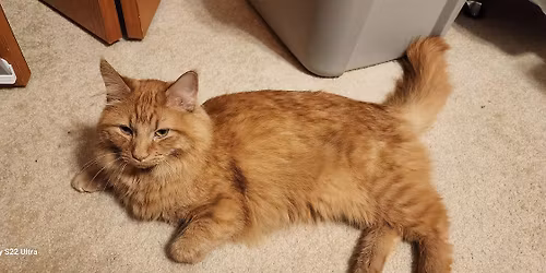 Crafty Friends Retreat April 2026