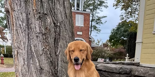 Kevin Cheff Fundamentals Workshop