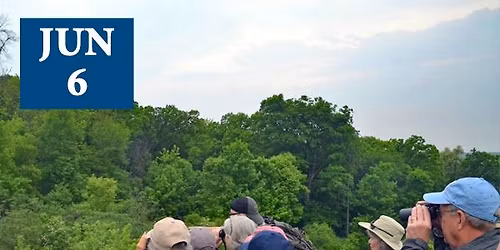 Birding Tour at Pope Farm Conservancy