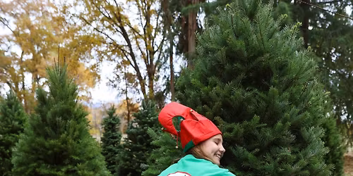 Christmas Tree Lot Opening! \ud83c\udf32"GROWING FAMILY TRADITIONS"\ud83c\udf32