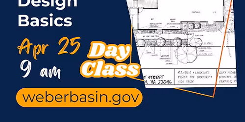 Landscape Design Basics