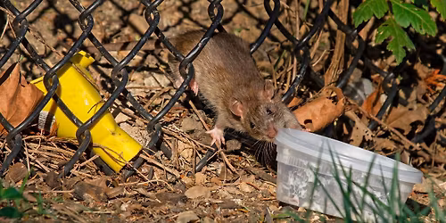 Keskusteluja Kontulassa: Rotista ja ihmisist\u00e4