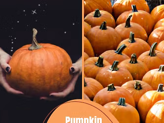 Pumpkin Carving Social