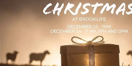 Christmas at Brooklife