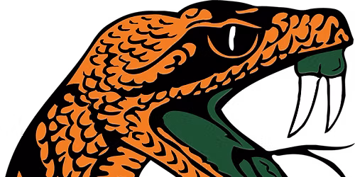 FAMU Homecoming Alumni Updates \ud83c\udf4a\ud83d\udc0d