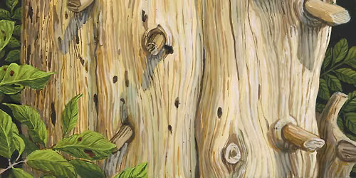 small worlds : new works by Amy Casey