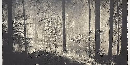 Intro to Monotype Workshop with Fiona Fouhy