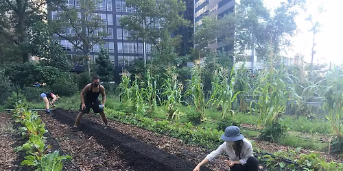 Urban Farming 101 Workshop: Soil & Compost