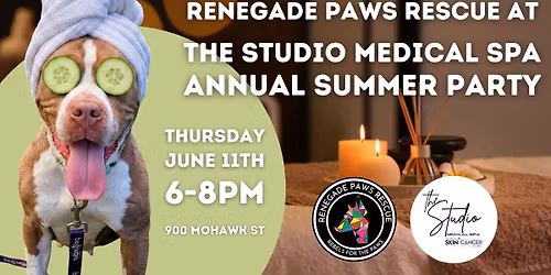 Renegade Paws Rescue at The Studio Medical Spa Annual Summer Party