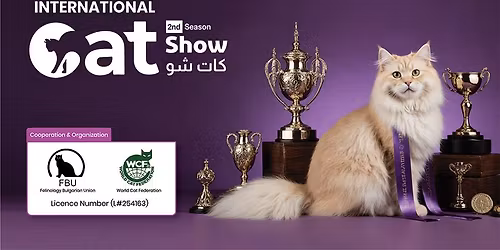 Cat Show in Riyadh