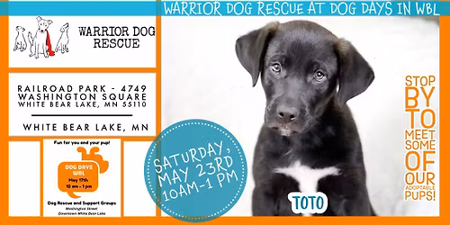 Warrior Dog Rescue at Dog Days - White Bear Lake 