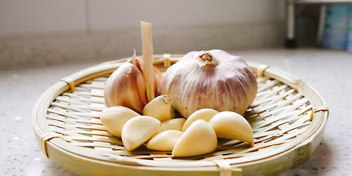 Garlic Harvesting