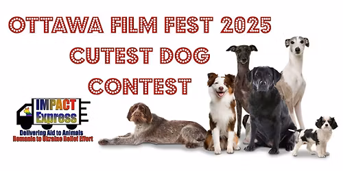 Ottawa Dog Film Fest - Cutest\/Silliest Dog Contest